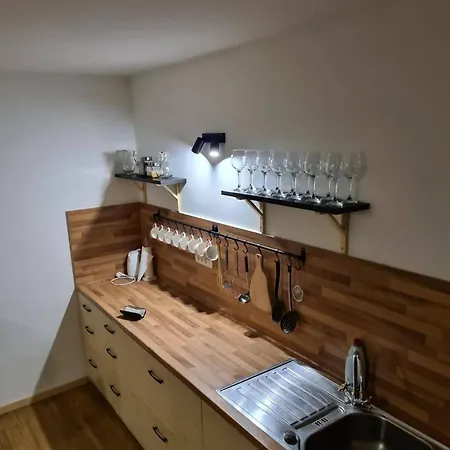 Fridrihstajn Kocevje