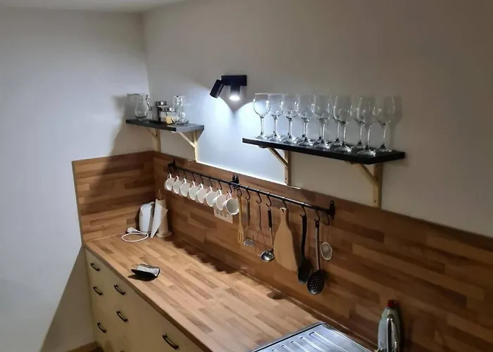 Fridrihstajn Kocevje